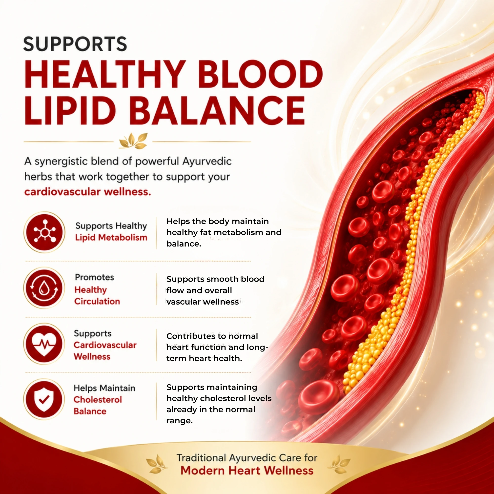 Lipocy Tablet